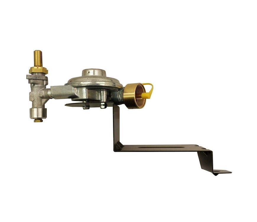 Weber-Stephen Products 64866 Grill Gas Valve/Regulator Assembly Q100-1 NS
