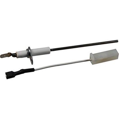 Packard PFS013 Flame Sensor W/Ceramic Insulator